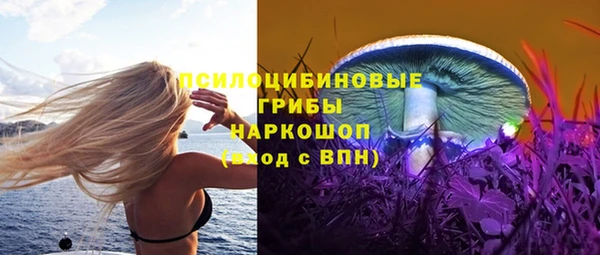 прущие крисы Порхов