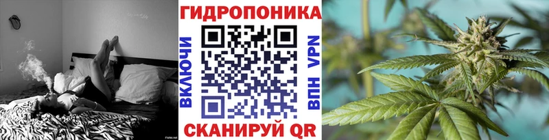 blacksprut ссылки  Александровское  МАРИХУАНА сатива 